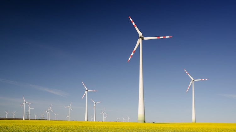 éoliennes énergies renouvelables développement