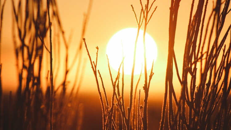 Solaire investissement