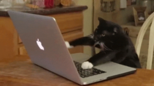 Chat ordinateur pollution numérique