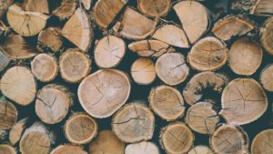 Biomasse bois énergie