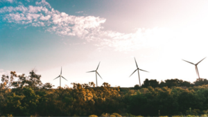 Comment investir dans l’éolien ?