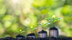 Investissements écologiques : quels sont les meilleurs placements ?