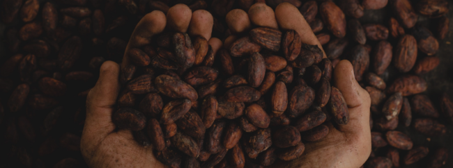 Produire de l'électricité avec du cacao