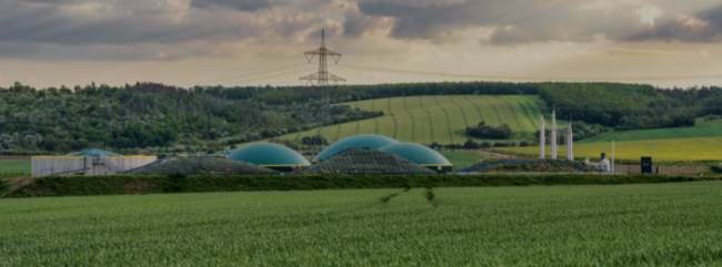 What future for biomethane in France?