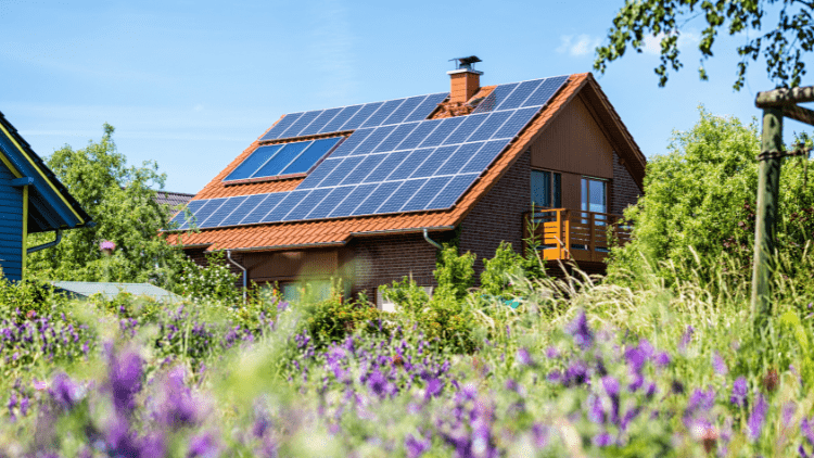 Subventions panneaux solaires